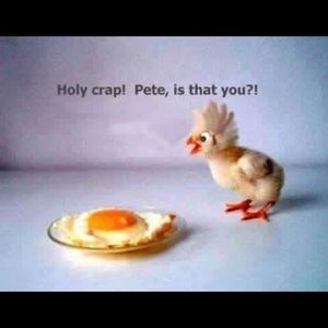 Meet your Posher, Lori