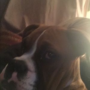 Meet your Posher, Alison