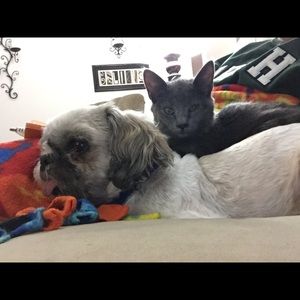 Meet your Posher, Mindy