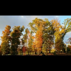 Meet your Posher, Carolyn