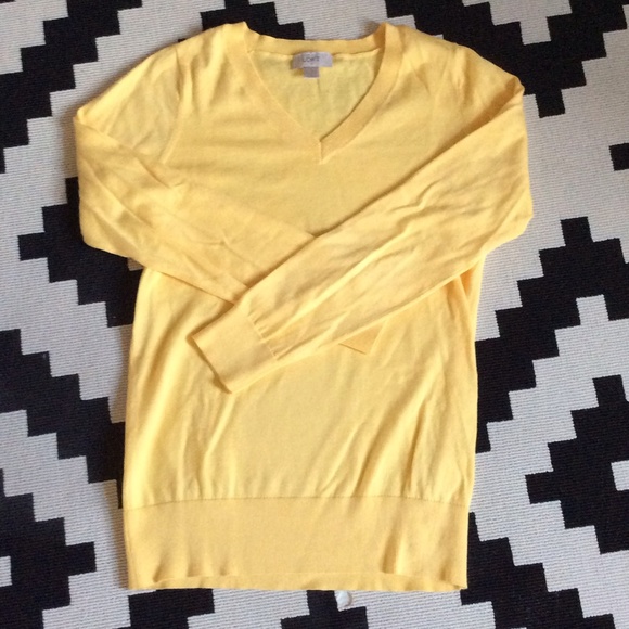 Ann Taylor Loft V-Neck sweater