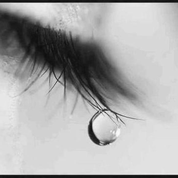 Meet your Posher, Monique - Picture 1 of 1