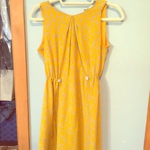 Anthropologie Dress Size 2