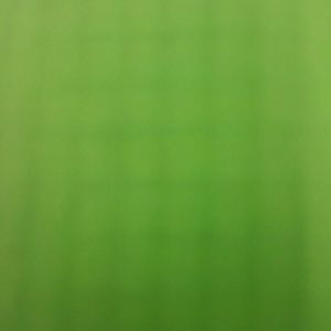 Meet your Posher, Kyndall