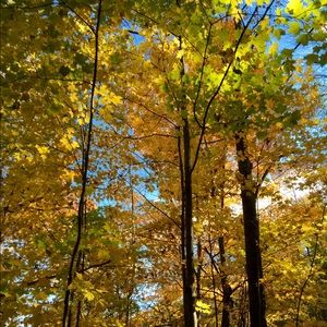 Meet your Posher, Adriene