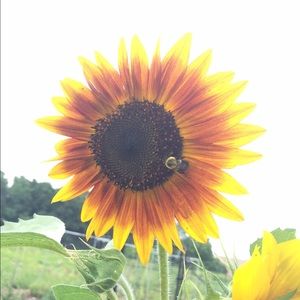 Meet your Posher, Darryl