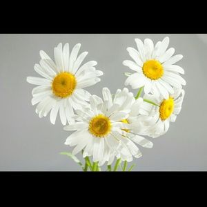 Meet your Posher, Kaitlyn