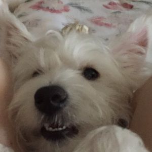 Meet your Posher, April