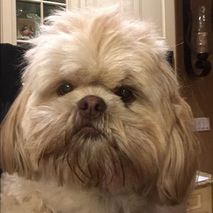 Meet your Posher, Barbara