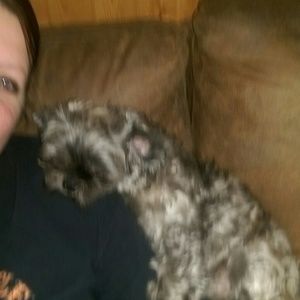 Meet your Posher, Jodi