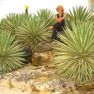 Meet your Posher, Olga