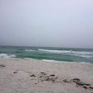 Meet your Posher, Paulette