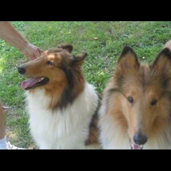 No trades..no PayPal ..reasonable offers accepted - Picture 2 of 4