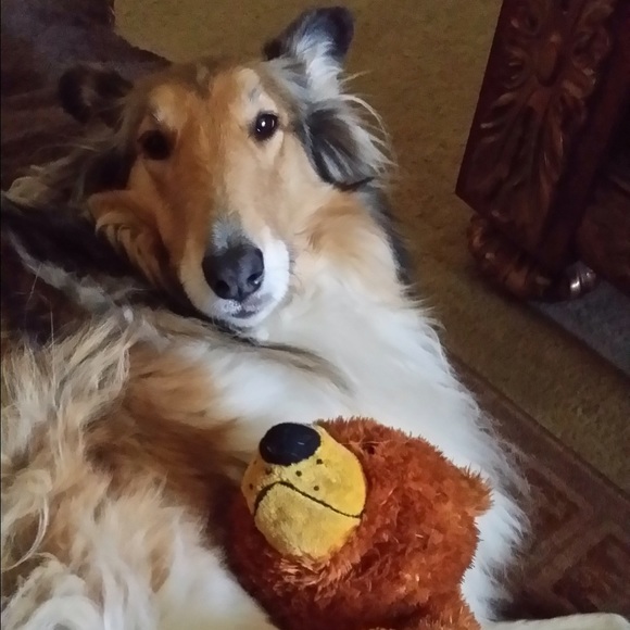 No trades..no PayPal ..reasonable offers accepted - Picture 3 of 4