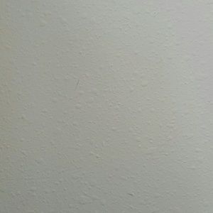 Meet your Posher, Nichole