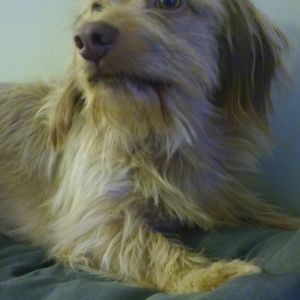 Meet your Posher, Paige