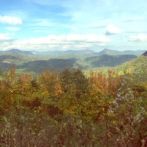 Meet your Posher, Maggie