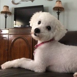 Meet your Posher, Theresa