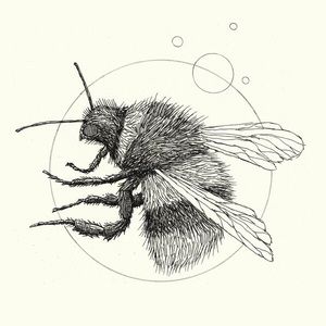 Meet your Posher, Jon