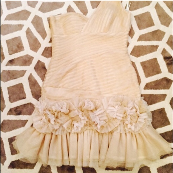 NWOT BCBG Dress