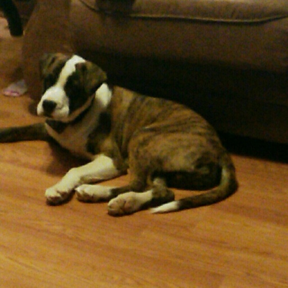 Meet your Posher, Kimberley - Picture 1 of 1