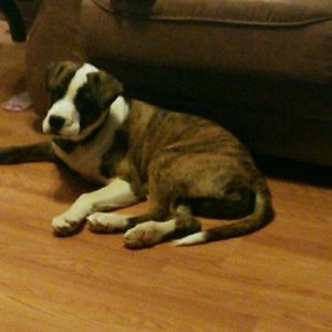 Meet your Posher, Kimberley