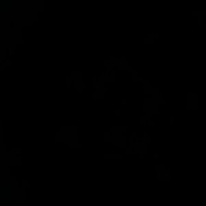 Meet your Posher, Rollia