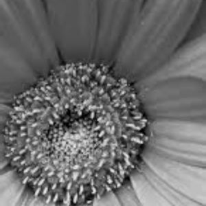 Meet your Posher, Mckenzie