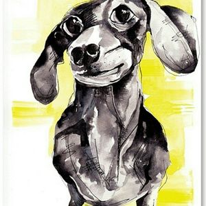 Meet your Posher, Jackie