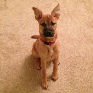 Meet your Posher, Leeanne