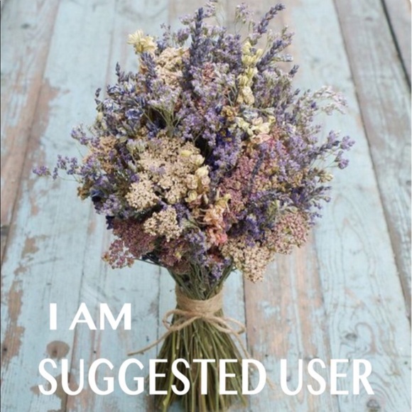 🌟⭐️I Am Suggested User⭐️🌟 - Picture 2 of 2