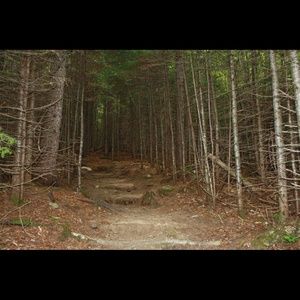 Meet your Posher, Cassandra