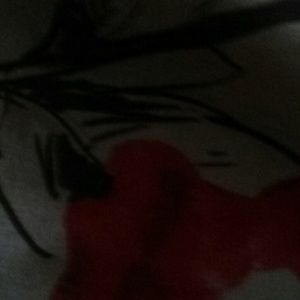 Meet your Posher, Shantay