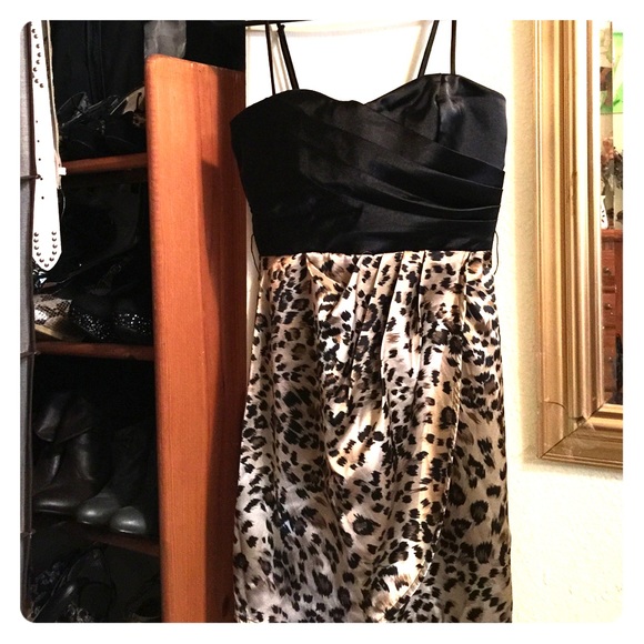 Cheetah Print Dress.