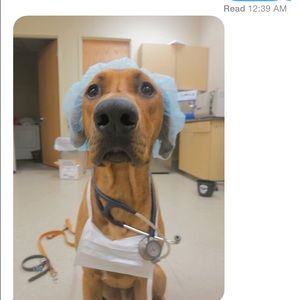 Meet your Posher, Katie