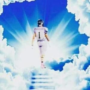 Meet your Posher, Darlene