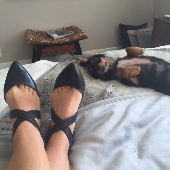 2*HP. Black Zip Heels - Picture 3 of 5