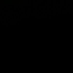 Meet your Posher, Paulette