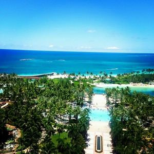 Meet your Posher, Serena