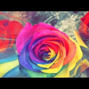 Meet your Posher, Paola