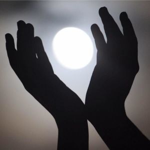 Meet your Posher, Carrie