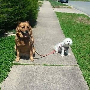 Meet your Posher, Mirza