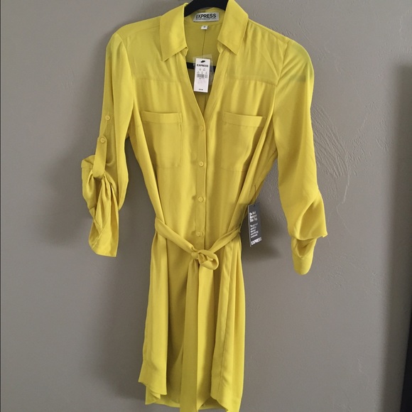 Express Portofino Shirt Dress