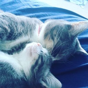 Meet your Posher, Sienna