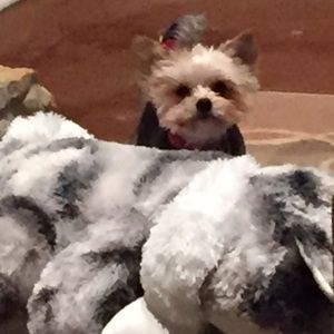 Meet your Posher, Trisha