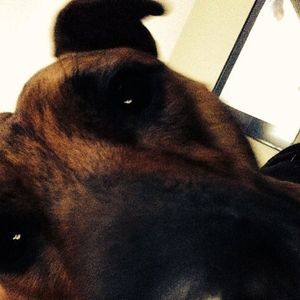 Meet your Posher, Cailey