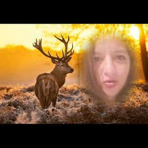 Meet your Posher, Maria