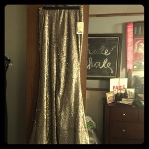 Anthropologie long sequenced skirt. Never worn.