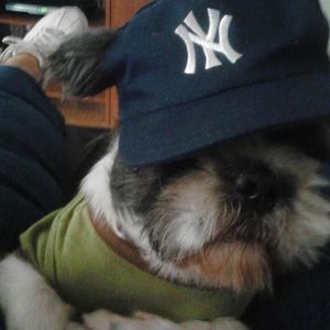 Meet your Posher, Eileen