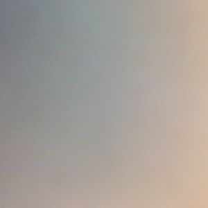 Meet your Posher, Dalia